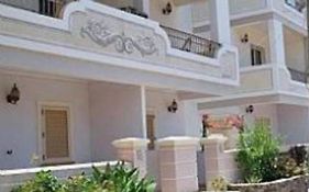 Oasis Palmeira